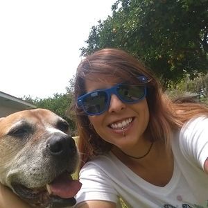 Meet your Posher, Bali